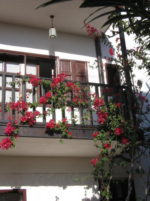 Kalkan Turk Evi Extérieur photo